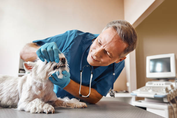 Best After-Hours Dental Trauma Care in Jasper, GA